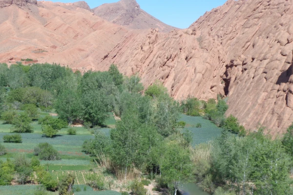 Dades valley Trip from Ouarzazate with local guide