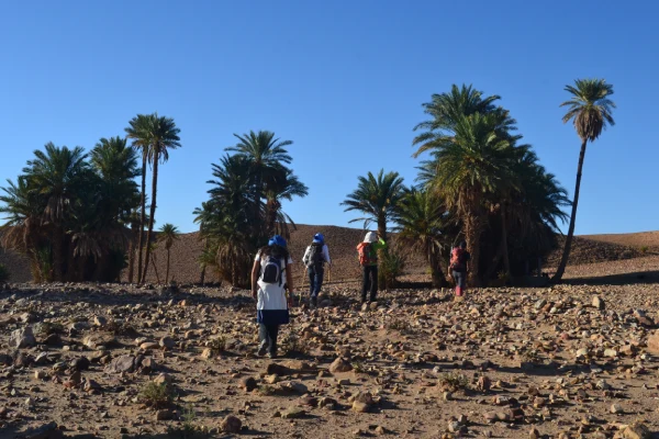 Explore Morocco desert from Ouarzazate