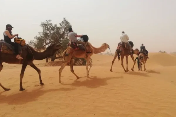 3 Days Desert Tour to Draa valley & Erg chigaga dunes from Ouarzazate