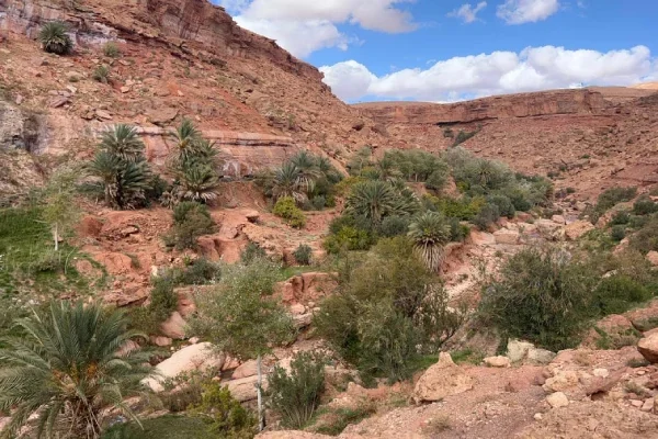 Trek 1 journée au départ de Ouarzazate