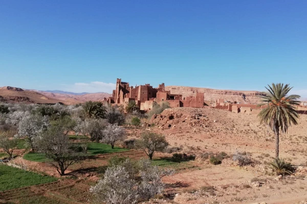 Explore kasbahs and oases of Ounila valley