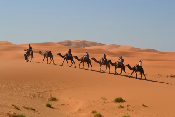 Merzouga desert camel ride