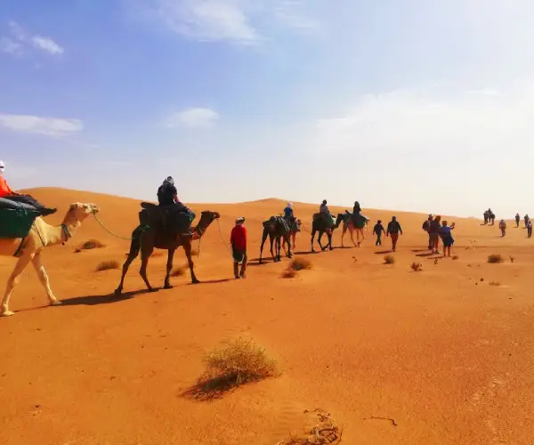 desert camel ride in Mhamid