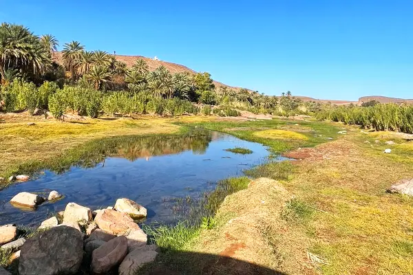 Fint Oasis day tour from Ouarzazate