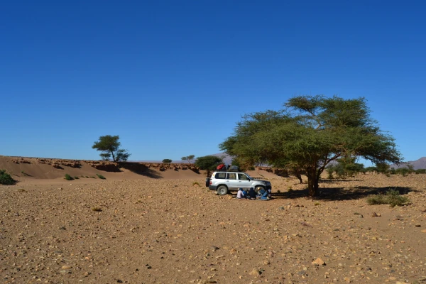 Dades valley and chegaga desert tour