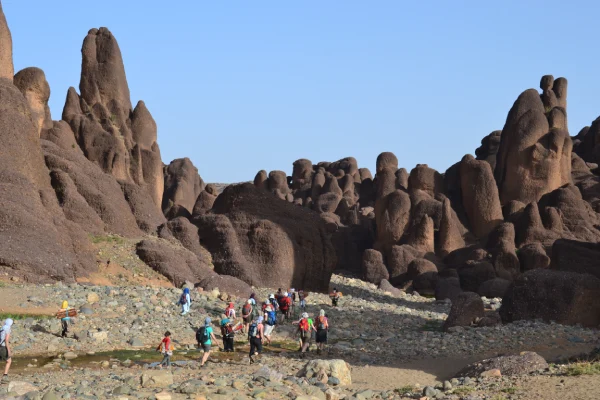 Explore Tisslite gorges and jebel siroua with local guide
