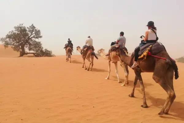 2 days erg lihoudi and Mhamid desert tour
