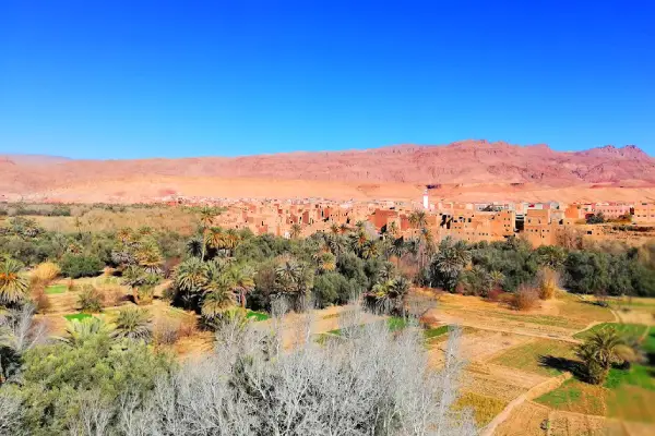 Exploration of Todra Gorges, a dramatic canyon on the way to the merzouga desert